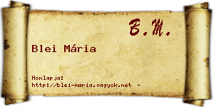 Blei Mária névjegykártya